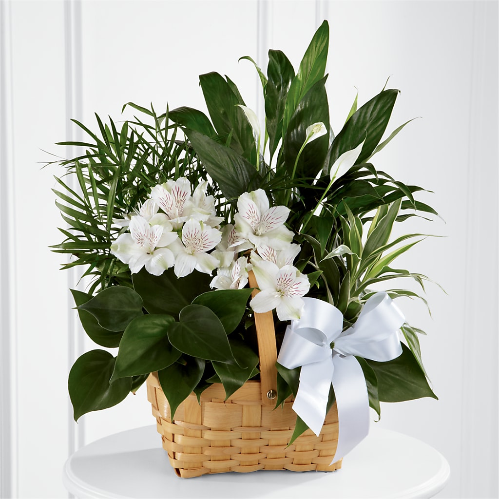 Peace & Serenity Dishgarden – Flowers By Lorena, Chino CA
