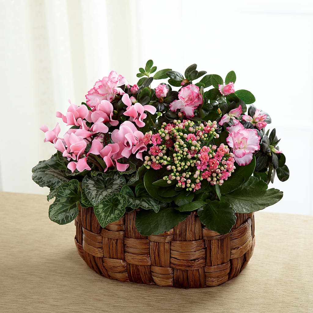 Pink Assortment – Flowers By Lorena, Chino CA