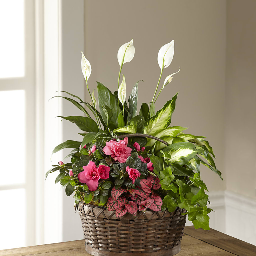 Dream in Pink Dishgarden – Flowers By Lorena, Chino CA