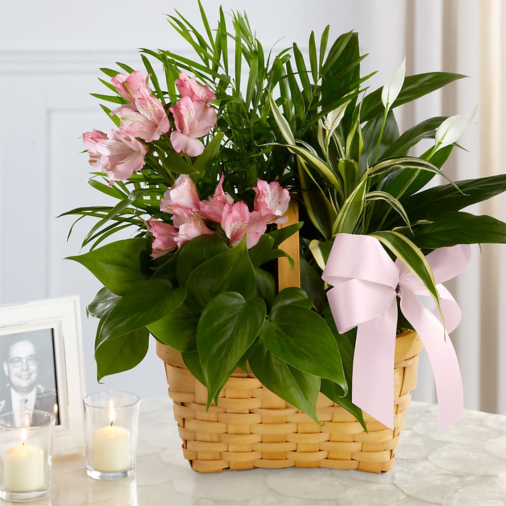 Living Spirit Dishgarden – Flowers By Lorena, Chino CA