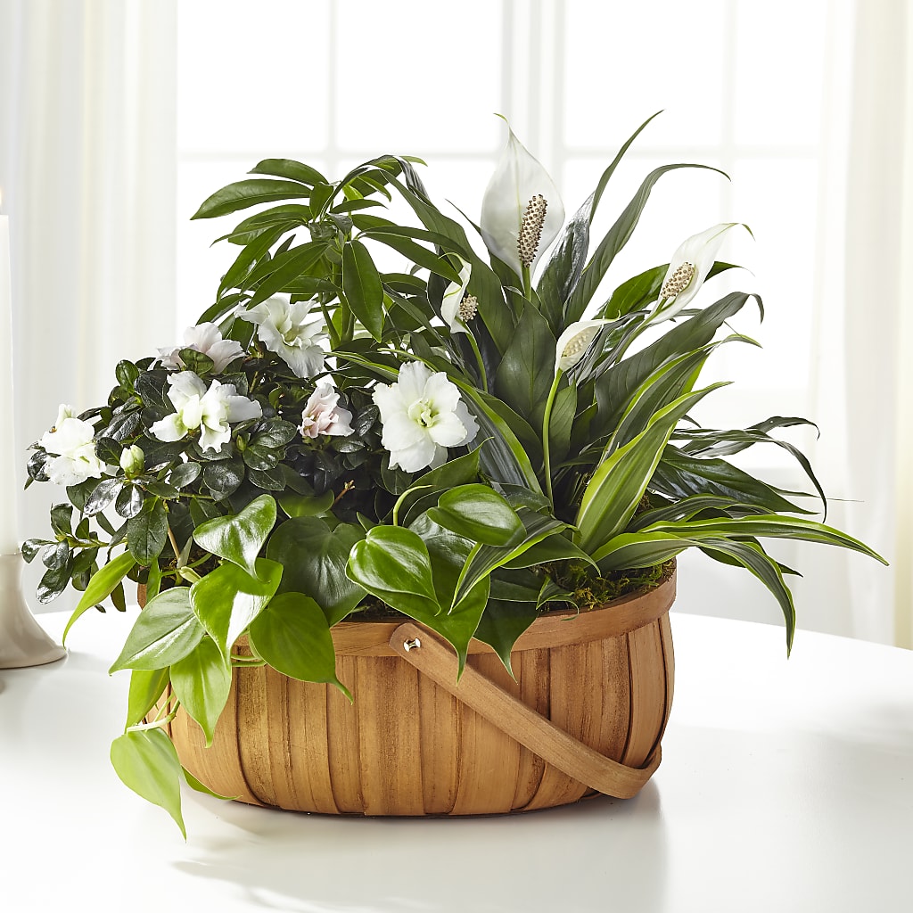 Serene Dishgarden – Flowers By Lorena, Chino CA
