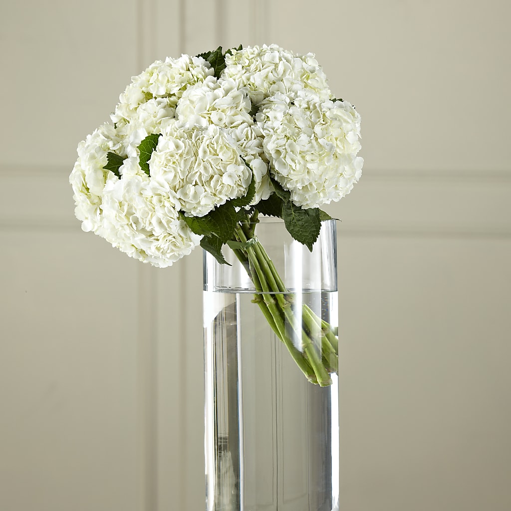 White Hydrangea Hand-Tied Bouquet – Flowers By Lorena, Chino CA