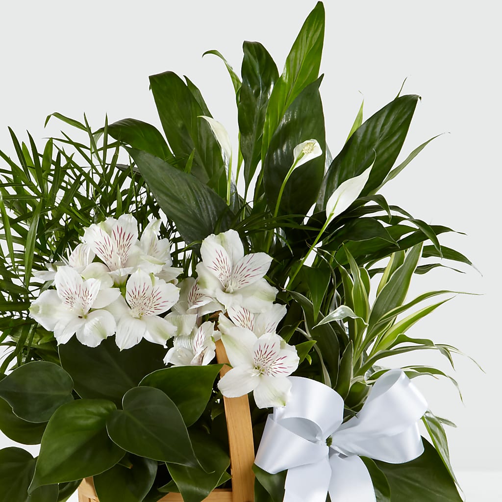 Peace & Serenity Dishgarden –  Flowers By Lorena, Chino CA