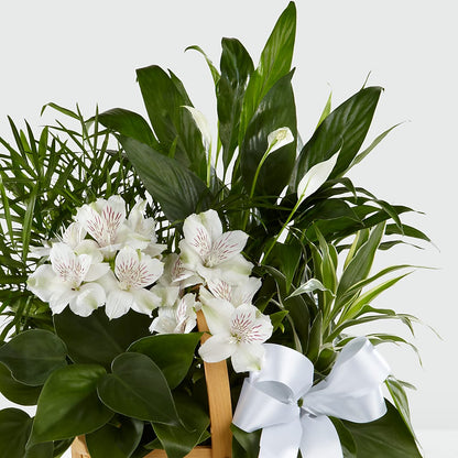 Peace & Serenity Dishgarden –  Flowers By Lorena, Chino CA