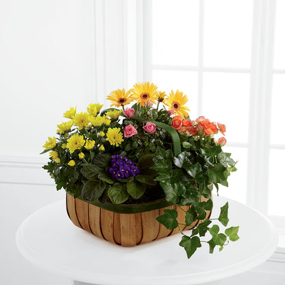 Gentle Blossoms Basket –  Flowers By Lorena, Chino CA