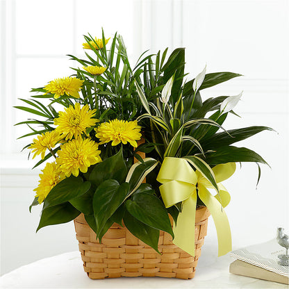 Loving Light Dishgarden –  Flowers By Lorena, Chino CA
