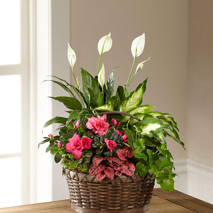 Dream in Pink Dishgarden –  Flowers By Lorena, Chino CA
