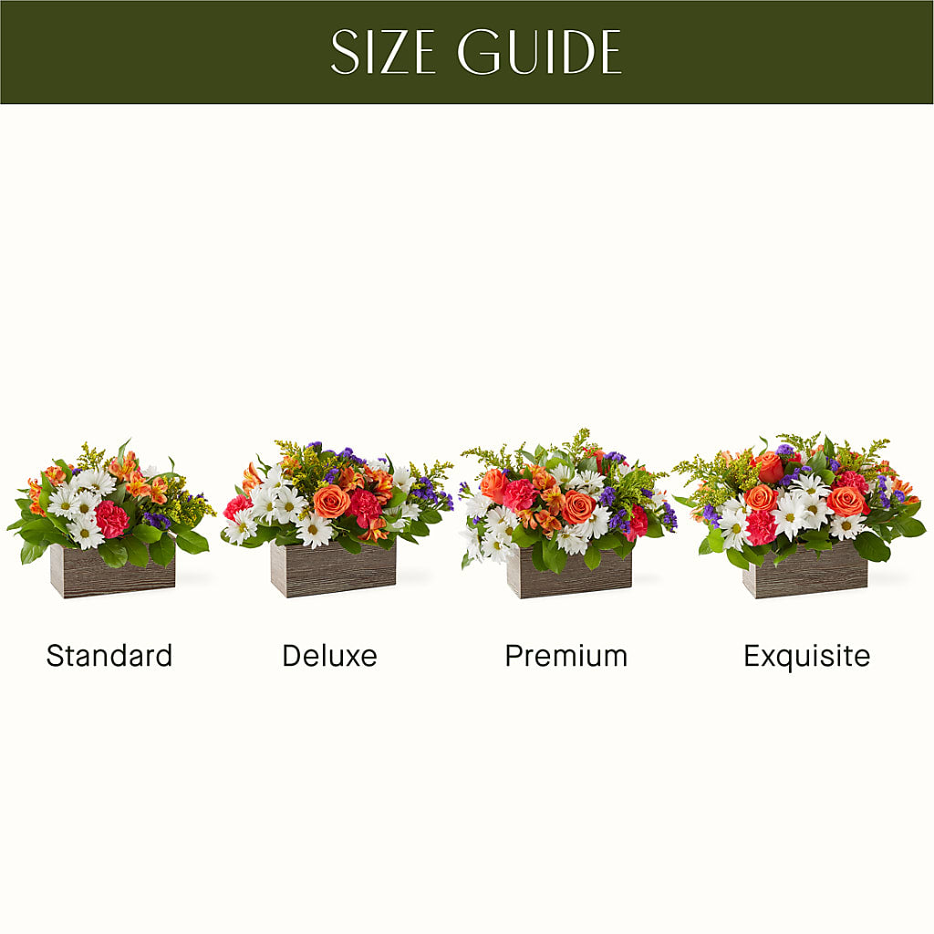 Oopsie Daisy Box Bouquet –  Flowers By Lorena, Chino CA