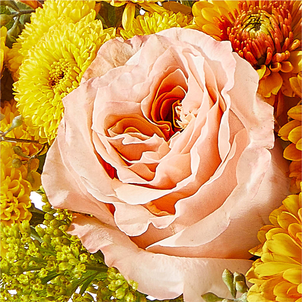 Peachy Pumpkin –  Flowers By Lorena, Chino CA