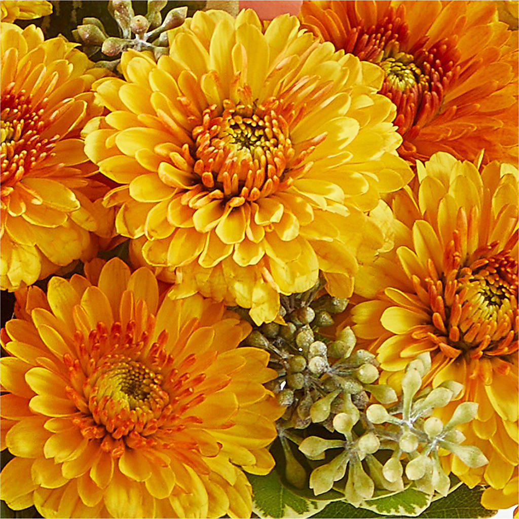 Peachy Pumpkin –  Flowers By Lorena, Chino CA