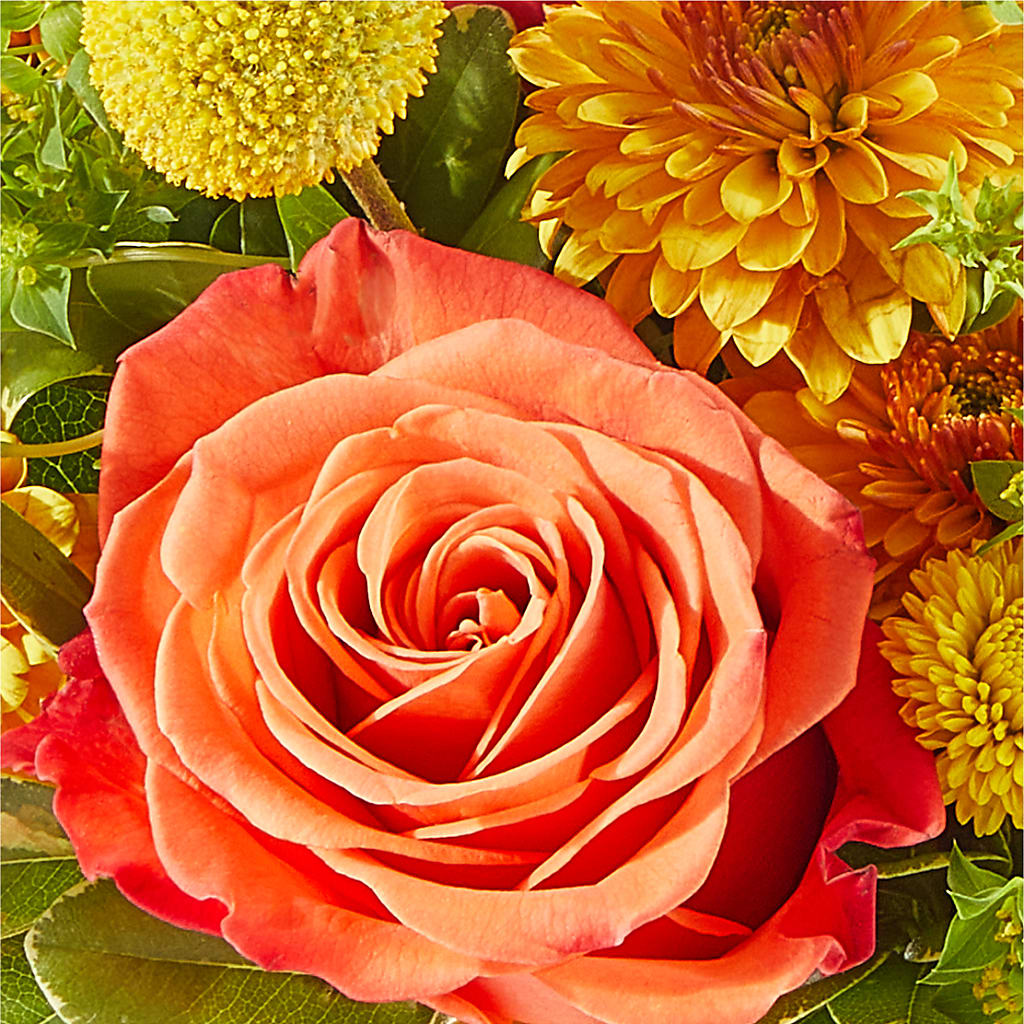 Gourdgeous Pumpkin –  Flowers By Lorena, Chino CA