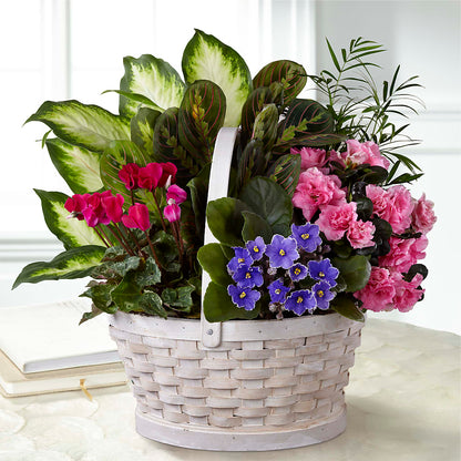 Peaceful Garden Planter –  Flowers By Lorena, Chino CA