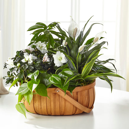 Serene Dishgarden –  Flowers By Lorena, Chino CA