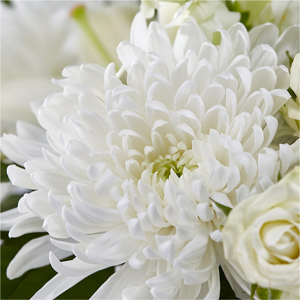 Classic Ivory – A Florist Original –  Flowers By Lorena, Chino CA