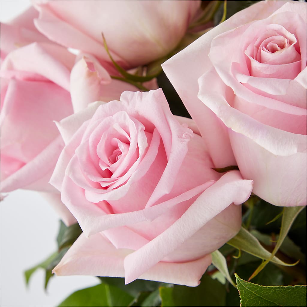 Picture Perfect Pink Rose Bouquet –  Flowers By Lorena, Chino CA