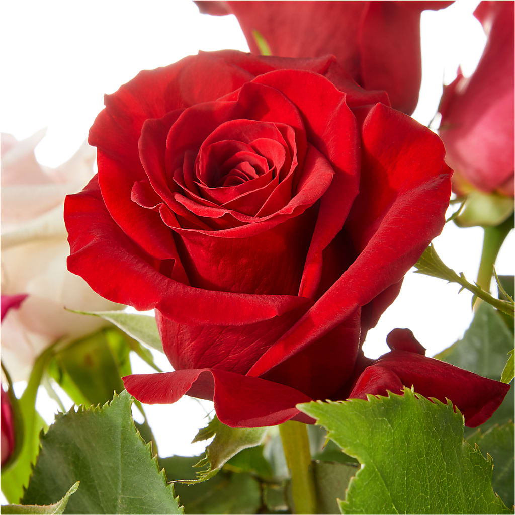 Love Notes Rose Bouquet –  Flowers By Lorena, Chino CA