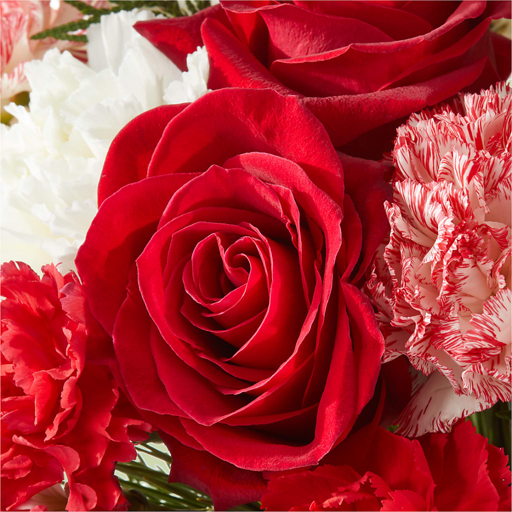 Candy Cane Lane Bouquet –  Flowers By Lorena, Chino CA
