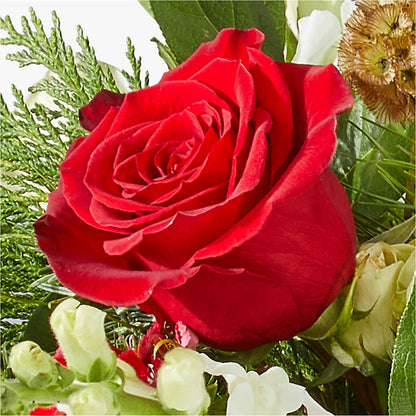 Deck the Halls Bouquet –  Flowers By Lorena, Chino CA