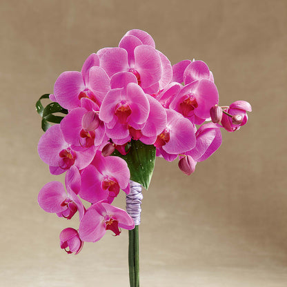Glorious Bouquet –  Flowers By Lorena, Chino CA