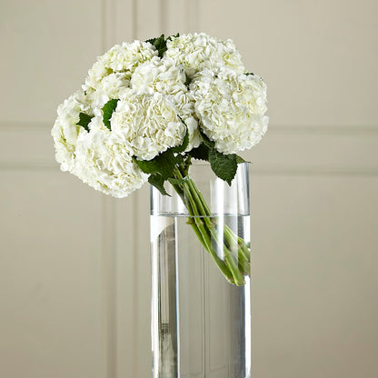 White Hydrangea Hand-Tied Bouquet –  Flowers By Lorena, Chino CA