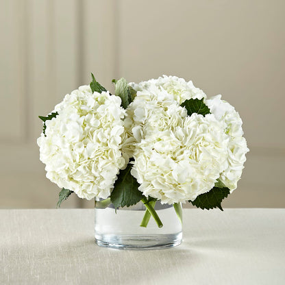 White Hydrangea Bouquet –  Flowers By Lorena, Chino CA